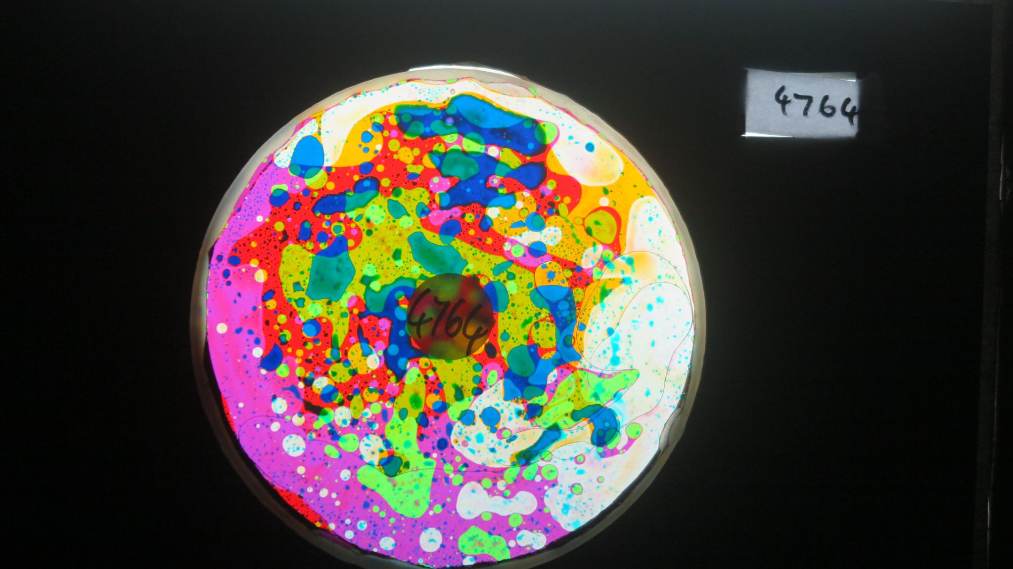 BV4764 bubble vision oil wheel